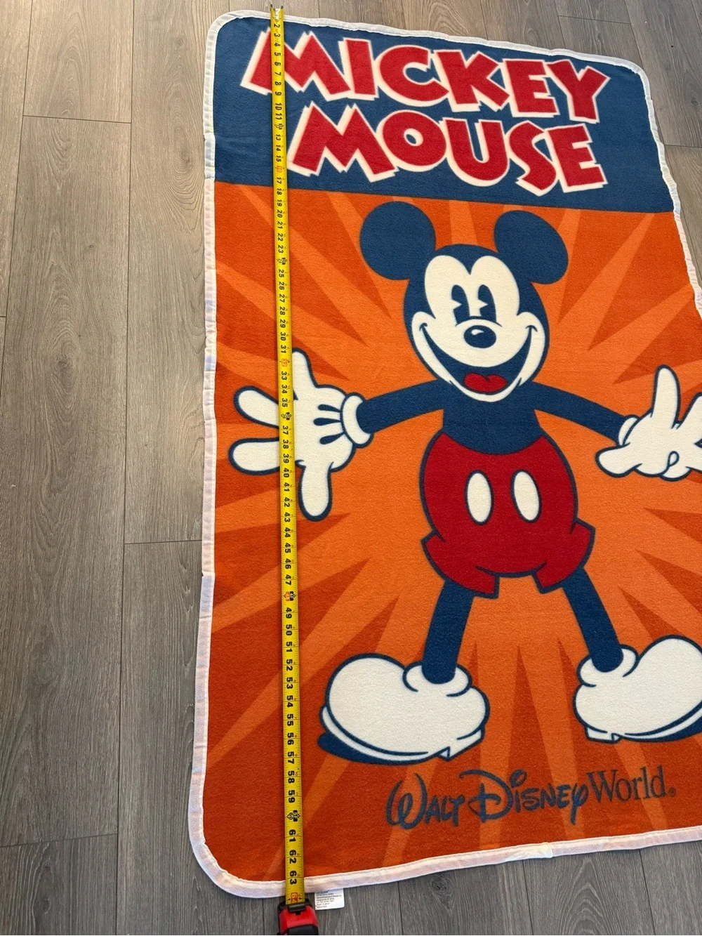 2 Walt Disney World Mickey Mouse Lightweight Fleece Blankets 40x64
